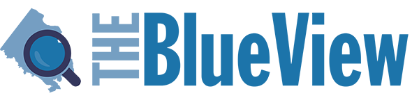 Logo: The Blue View Blog
