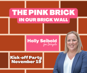 Holly Seibold Campaign Kick-Off @ Vienna Community Center
